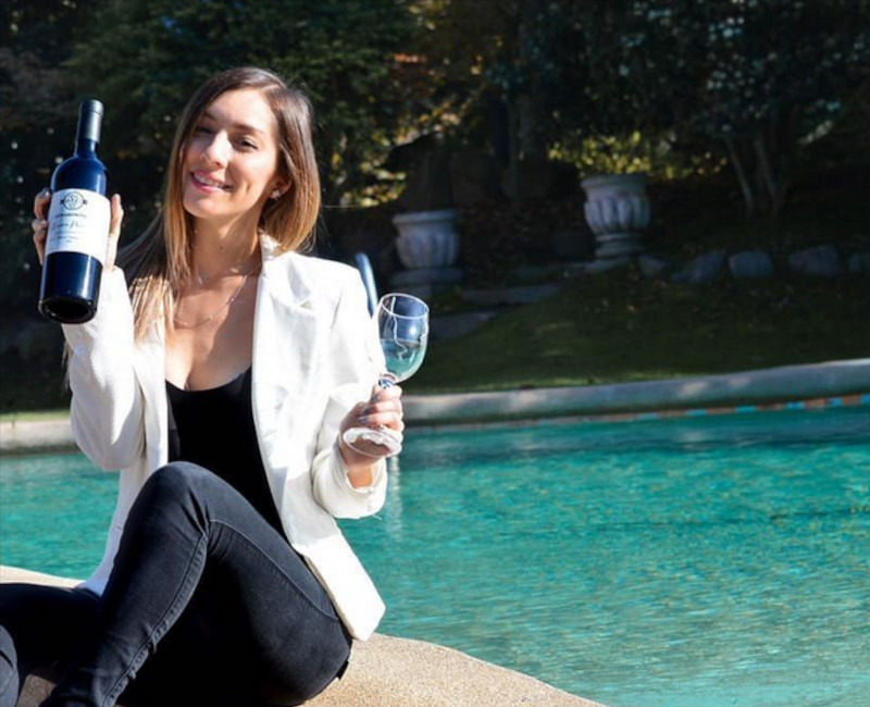 Viticultura, Cabañas Alta Vista de Cáhuil, Alta Vista Group, Venta de Vinos New Wines Chile, Alojamientos acogedores