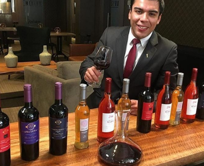 Viticultura, Cabañas Alta Vista de Cáhuil, Alta Vista Group, Venta de Vinos New Wines Chile, Alojamientos acogedores