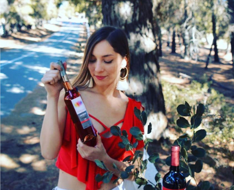 Viticultura, Cabañas Alta Vista de Cáhuil, Alta Vista Group, Venta de Vinos New Wines Chile, Alojamientos acogedores