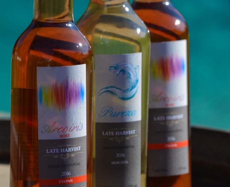 Viticultura, Cabañas Alta Vista de Cáhuil, Alta Vista Group, Venta de Vinos New Wines Chile, Alojamientos acogedores