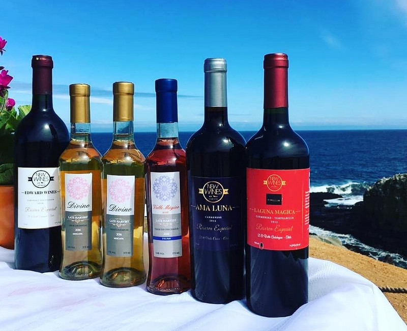 Viticultura, Cabañas Alta Vista de Cáhuil, Alta Vista Group, Venta de Vinos New Wines Chile, Alojamientos acogedores